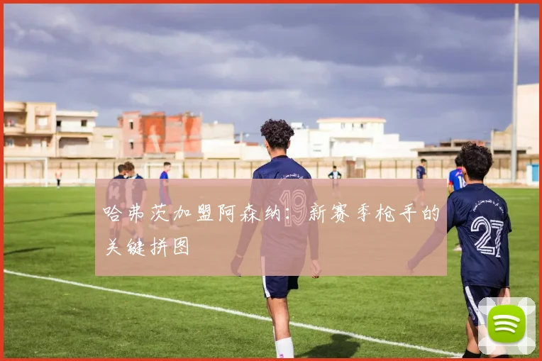 哈弗茨加盟阿森纳：新赛季枪手的关键拼图